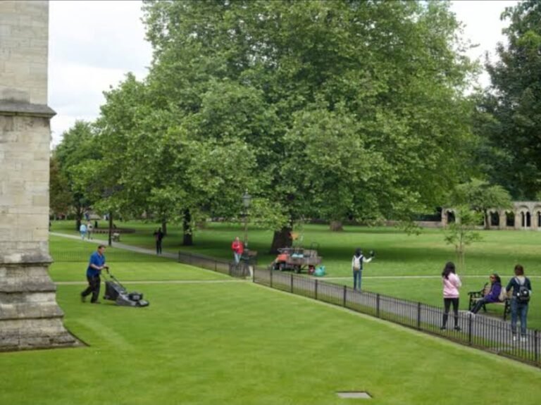 Uncovering the Joys of Urban Parks: The Green Lungs of Our Cities
